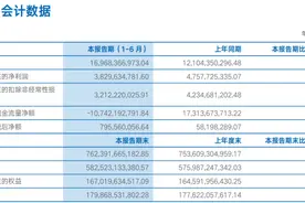 海通证券上半年营收增40%，多业务支出增加下净利润减少19%图片