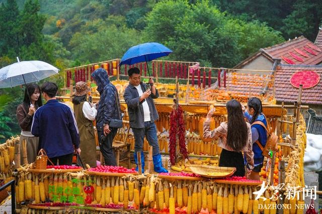 秋光如颂 全景淄博丨记者观察：从“柿岩赌雨”的巧劲，看淄博文旅如何“四两拨千斤”