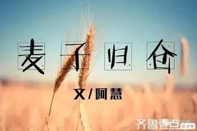 散文｜麦子归仓图片