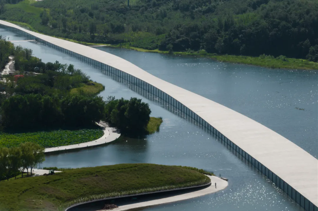 又好吃又好看！日照这里，火成新晋顶流！