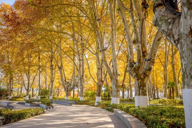 周末，去“捡秋”！