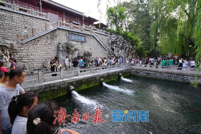 一年四季 泉在济南丨水位升高 黑虎泉池壁上再现新“喷口”