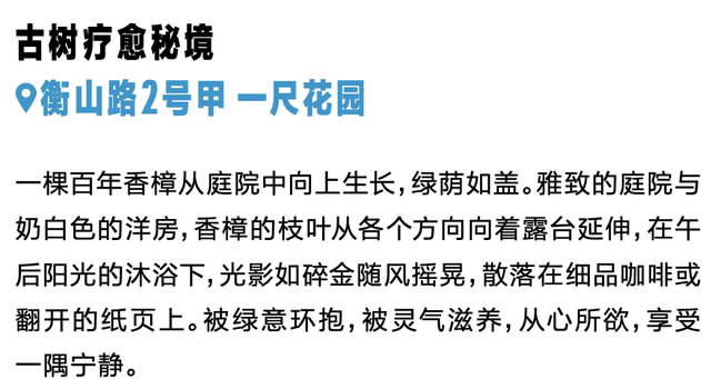 秋日露台主义正当时，看一场夕阳落进梧桐海