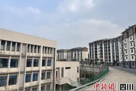 简阳禾丰镇：装新房 过新年 百姓安居笑开颜图片