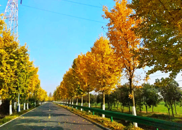 公安，等你入画