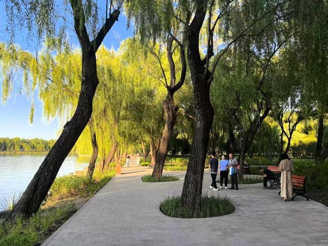 恢复6条重要观景视廊！颐和园昆明湖南岸景观提升完工