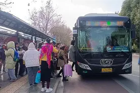 海埂大坝迎来观鸥高峰季，昆明这些地方也是最佳观鸥点图片
