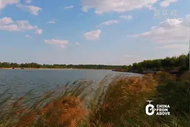 瞰中国｜山东广饶 ：秋色宜人图片
