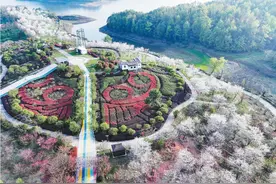 蕲春“花”经济添彩乡村振兴图片