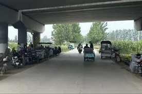 从牌场上抢人，骑行的风慢慢地吹到了乡下丨回乡偶书图片