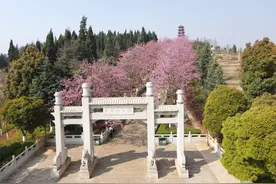 来玉泉山，和春天约个会图片