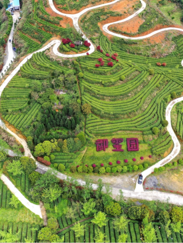 浙江这两条线路入选中国公路学会“2025年度自驾游精品线路”，一起来关注！