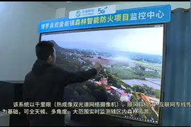 惠州移动以数智化手段赋能森林防护工作图片