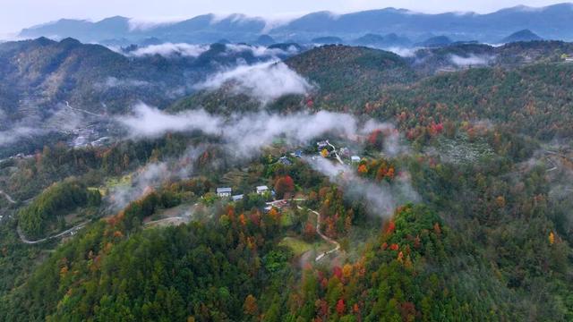 酉阳初冬美景合集：邂逅山间调色盘，每一帧都是壁纸！
