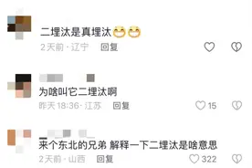 脏脏虎“二埋汰”被嫌弃了图片