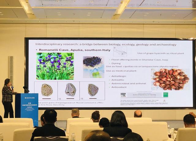 从阿皮亚古道到洛曼塘王城，听专家们谈文化遗产保护的海外经验