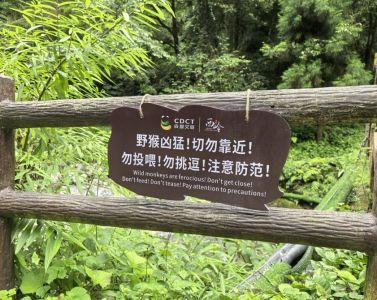西岭雪山大飞水景区猴群频频伤人并“打劫”村庄