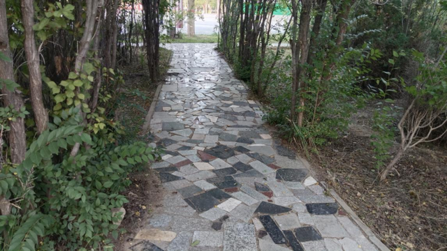 在白云鄂博，探寻令人心动的城市细节