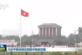 [视频]习近平瞻仰胡志明陵并敬献花圈图片