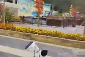 景区回应男童体验飞天威亚疑摔落 ：操作失误致游客脚尖在地面滑行 约谈项目方并处罚图片