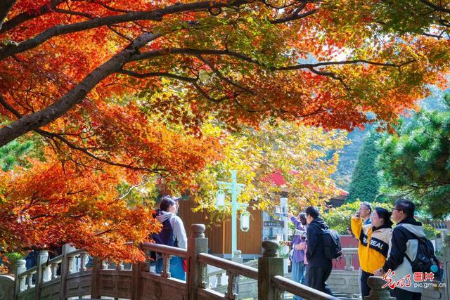 金秋时节山河锦绣 沉浸式感受全国“秋日限定”皮肤