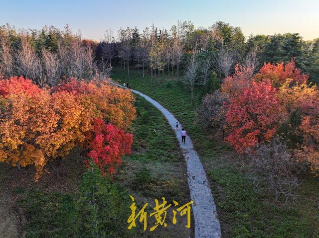 五彩斑斓入画来！卧牛山秋日氛围感拉满 | 新黄河AI音乐