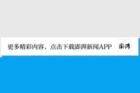“悬赏千万寻子”的谢岳，终于“上岸”了图片