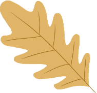 “党建红”点亮“枫”景丨栖霞山 “红枫护卫队” 上线！