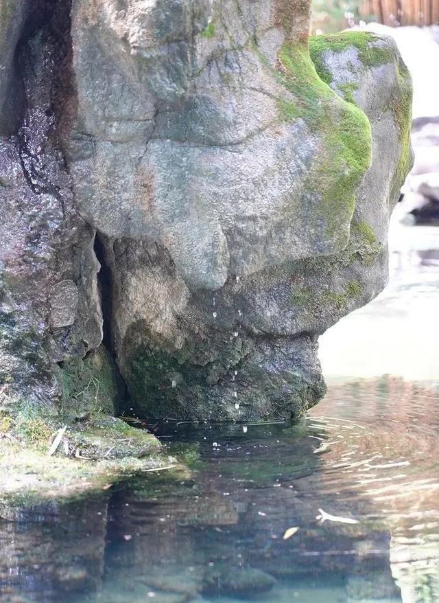 济南五龙潭公园月牙泉“复苏”啦