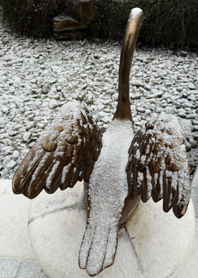 雪落京城！刚出炉的雪景大片收藏起来！