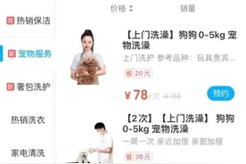 看上你家的毛孩子！盒马App上线新服务：上门给宠物洗澡图片