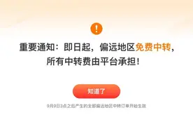 电商风云2024：拼多多引领西进，包邮无问西东图片