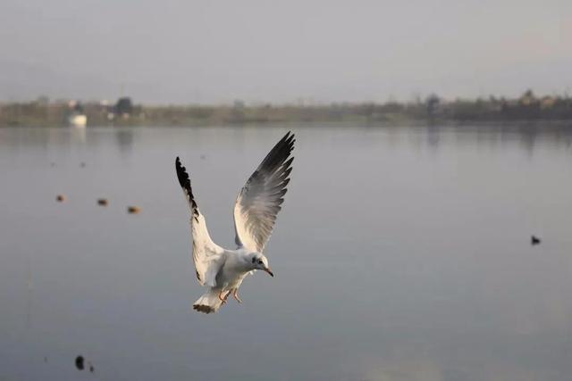 来保山，让冬日住进22℃的温柔里！