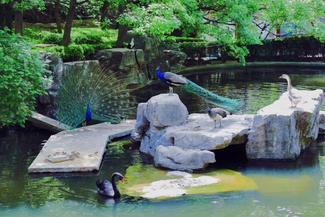 济南红叶谷教师节送福利，解锁多样山野乐趣