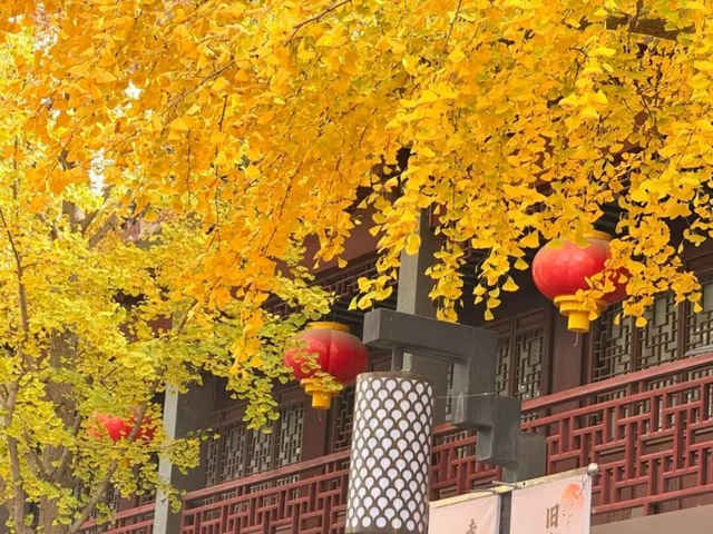 怎么能错过秦淮的秋天呢？