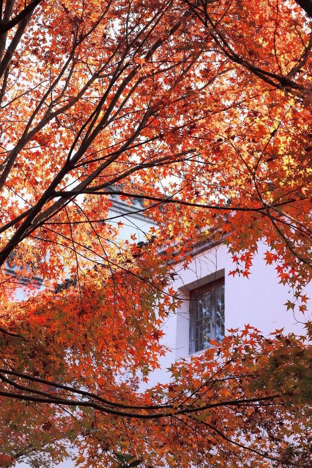 当代人需要的情绪价值，镇江给你！