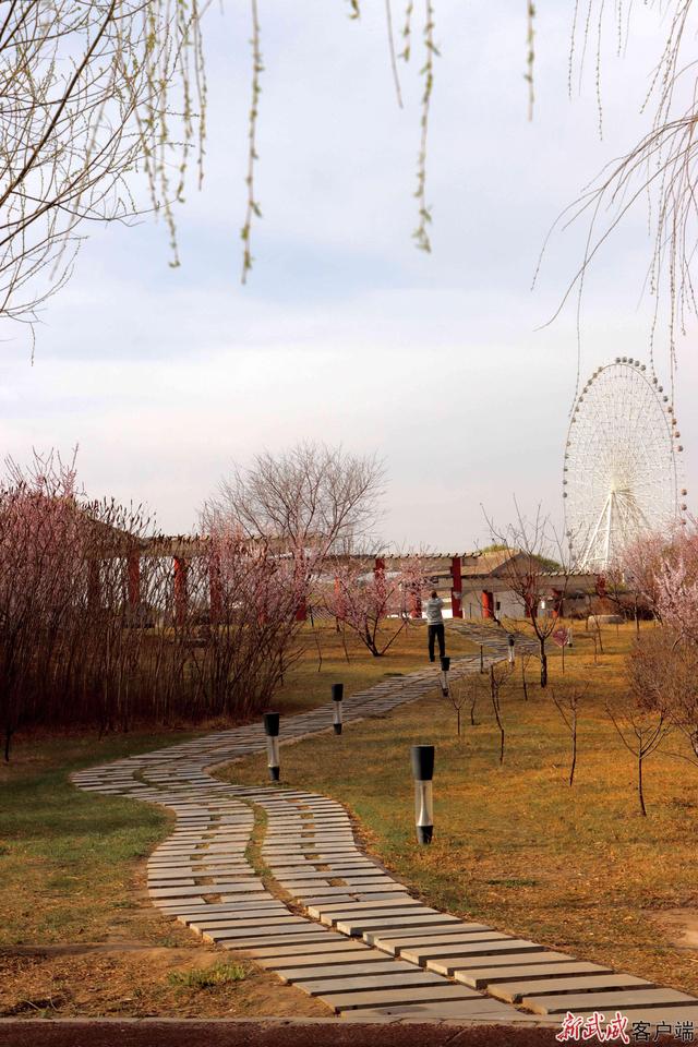 组图丨武威天马湖畔：踏春赏景赴约春天正当时