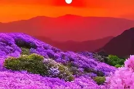 邹进芝‖藏在手表里的时光图片