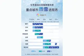 北方多地将迎初雪！今冬首场大范围雨雪将至图片