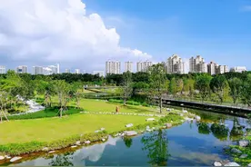 2024年，东莞城管将树立“大城管”意识，强化推进这五方面工作图片