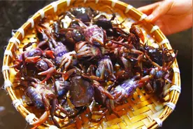 在云南，吃“最野”的菜，迎最美的春图片