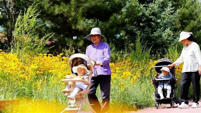 这里有18℃的夏天
