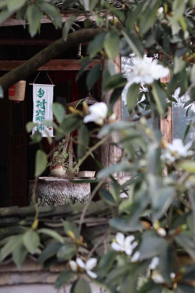 蒲江「村咖指南」