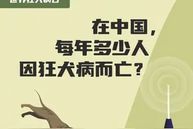 在中国，每年多少人因狂犬病而亡？｜世界狂犬病日图片