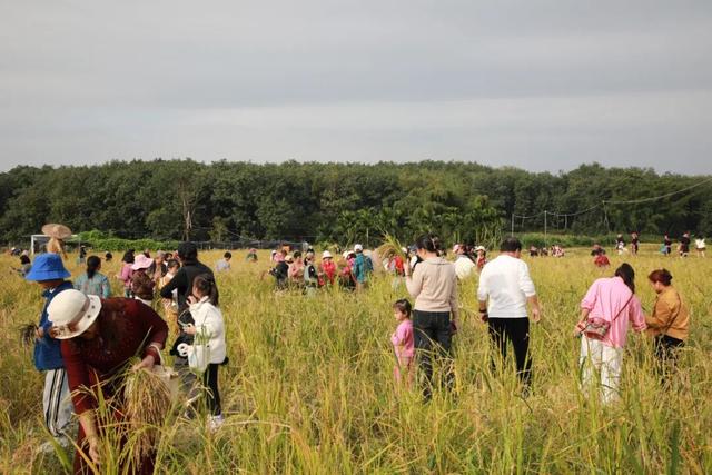 2025年白沙“啦奥门”雨林与您山兰文化活动启幕