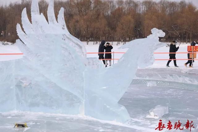 【推荐】南湖公园的冰龙又来啦，今年，还多了冰凤凰