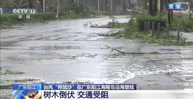 台风过后广东阳江多部门保道路畅通