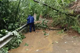 四川宜宾兴文发生一处山体滑坡，失联人员已成功获救图片