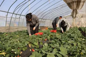 乡村振兴｜尉氏：春光如画涌春潮图片