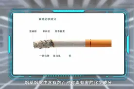 一个真实实验，两分钟让你见识，吸烟如何“杀死”肺和全身器官图片